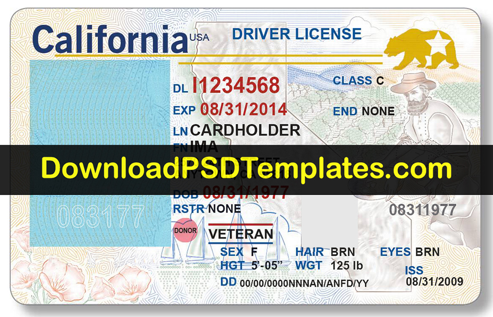 california-driver-license-font-type-hsgin